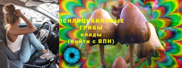 прущая мука Калининец
